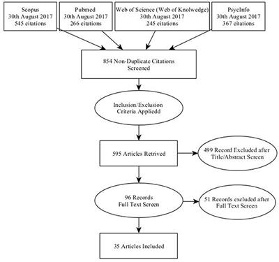 Video Games for Well-Being: A Systematic Review on the Application of Computer Games for Cognitive and Emotional Training in the Adult Population